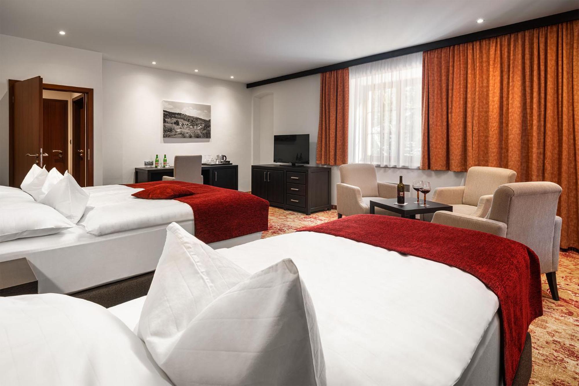 Hotel Singer Ludvíkov Стая снимка